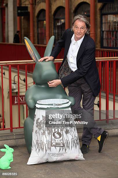 65 Rabbit Bin Stock Photos, High-Res Pictures, and Images - Getty Images