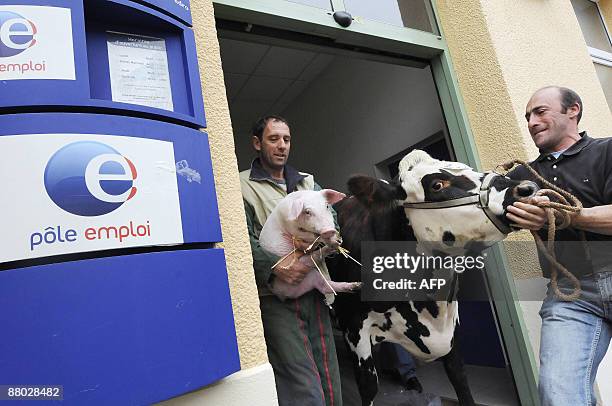 French dairy farmers leave a local branch of the French employement agency "Pole emploi" with a cow called "Artemise" and a pig called "Pink" on May...