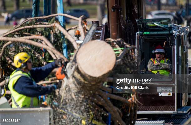 Trim Operator Saw Operator Photos and Premium High Res Pictures - Getty Images
