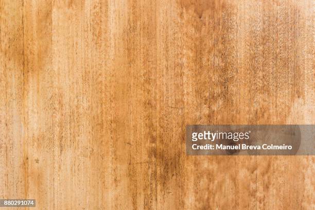 wooden texture - evergreen texture stock pictures, royalty-free photos & images