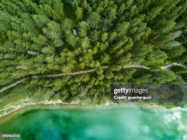aerial view of green lake in styria, austria - northern limestone alps stock pictures, royalty-free photos & images