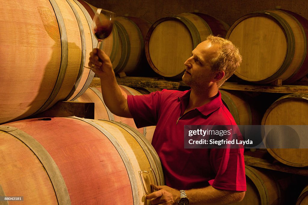 Winemaker judging color of red wine 