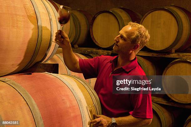 winemaker judging color of red wine  - stellenbosch wine stock pictures, royalty-free photos & images