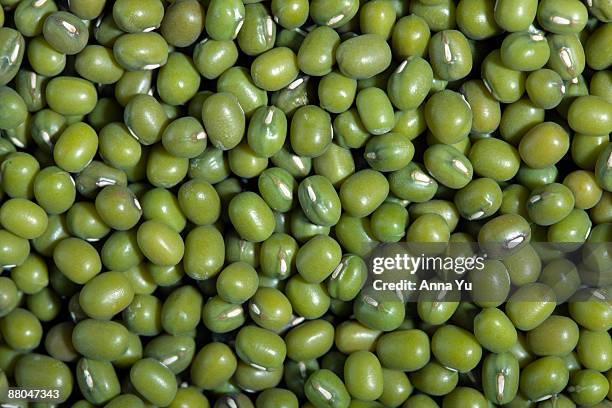 mung bean background - mung bean stock pictures, royalty-free photos & images