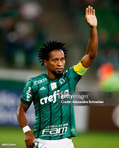 Ze Roberto of Palmeiras in action during the match against Botafogo for the Brasileirao Series A 2017 at Allianz Parque Stadium on November 27, 2017...