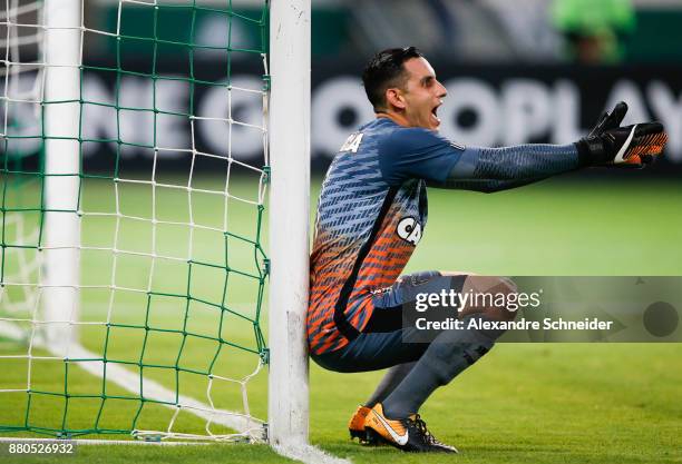 Gatito Fernandez of Botafogo in action during the match against Palmeiras for the Brasileirao Series A 2017 at Allianz Parque Stadium on November 27,...