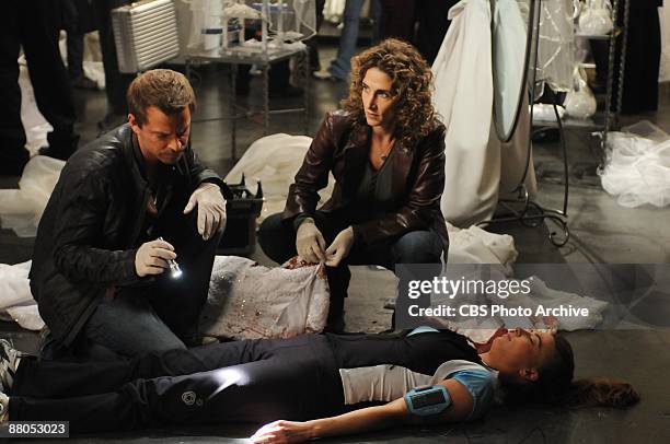Help" -- Danny Messer and Det. Stella Bonasera investigate, the death of a young shopper, on CSI: NY Wednesday, Jan. 14 on the CBS Television Network.