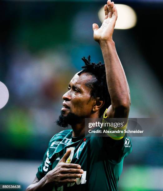 Ze Roberto of Palmeiras bids farewell after the match against Botafogo for the Brasileirao Series A 2017 at Allianz Parque Stadium on November 27,...