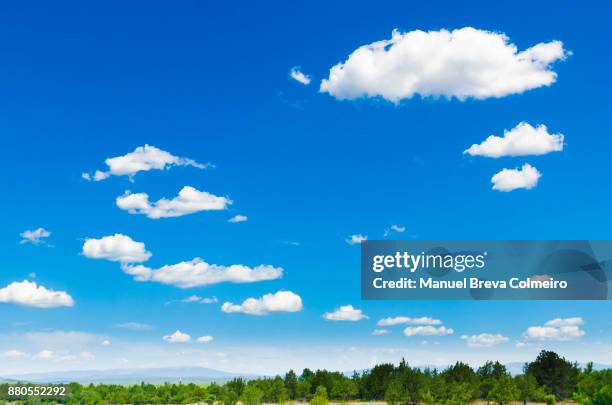 clouds and sky - fluffy cloud sky stock pictures, royalty-free photos & images