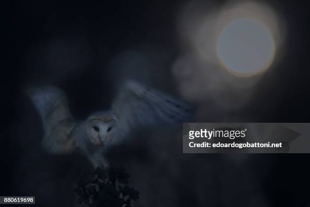 ghost of the night - edoardogobattoni foto e immagini stock