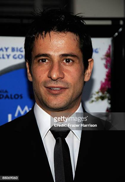 Actor Alexis Georgoulis arrives at the Premiere Of 20th Century Fox's "My Life In Ruins" on May 29 at Fox Studios in Culver City, California.