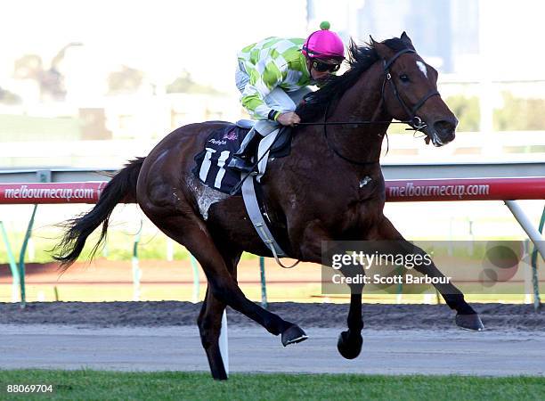 Dean Holland riding Woodwin wins race 6 the David Bourke Provincial Plate during the David Bourke Provincial Plate Day meeting at Flemington...