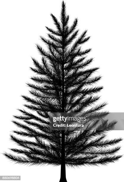 incredibly detailed christmas tree - pine tree white background stock illustrations