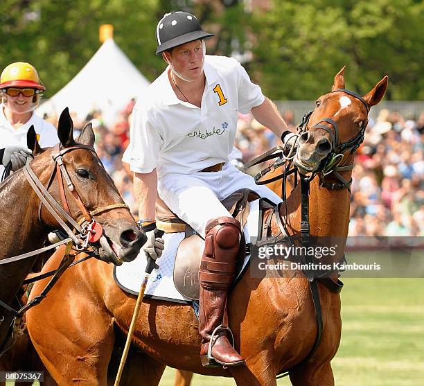 Prince Harry of Wales attends the 2nd Annual Veuve Clicquot Manhattan Polo Classic VIP party on Governors Island on May 30, 2009 in New York City.