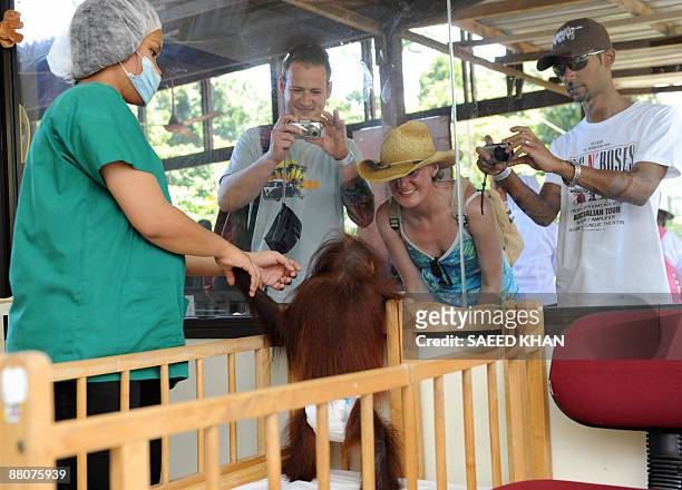 Malaysia-environment-wildlife-orangutan,FEATURE" by M. Jegathesan Tourists take pictures of a young orangutan as it stands in its cot at a Malaysian...