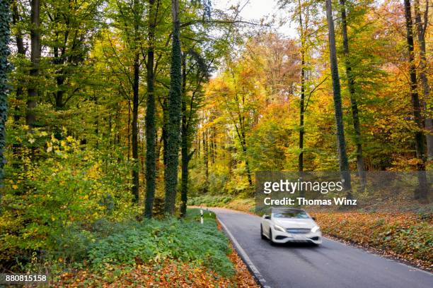 car driving through a forest - freudenstadt photos et images de collection