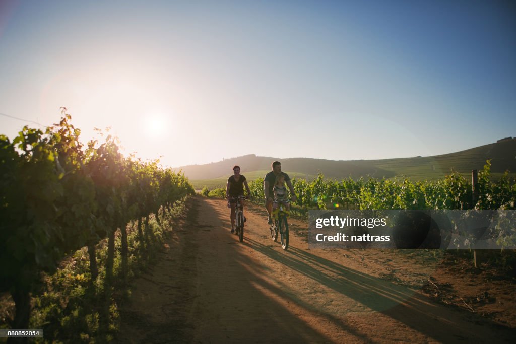 Family ride through the vineyards