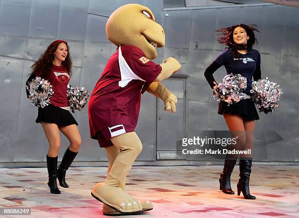 The Queensland State of Origin mascot the Cane Toad dances during a New South Wales Blues and Queensland Maroons State of Origin media call at...
