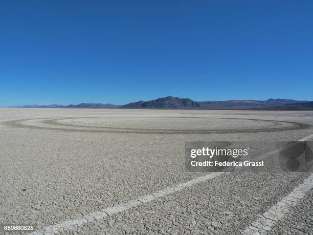 circular tire tracks on desert floor, nevada - black rock desert bildbanksfoton och bilder