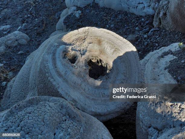 tubular tufa formations, pyramid lake, nevada - calcification stock-fotos und bilder