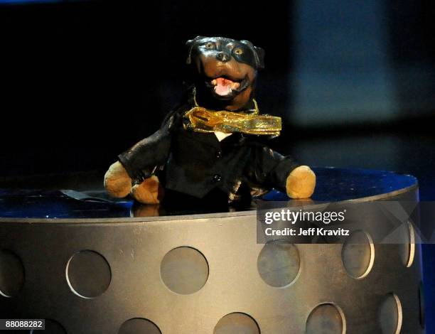 Triumph the Insult Comic Dog onstage during the 2009 MTV Movie Awards held at the Gibson Amphitheatre on May 31, 2009 in Universal City, California.
