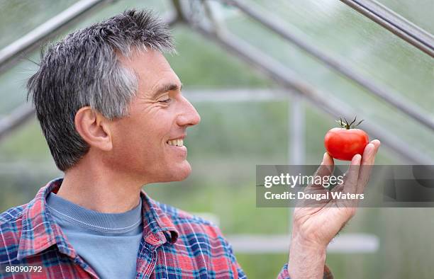 man holding up tomato. - tomate stock pictures, royalty-free photos & images