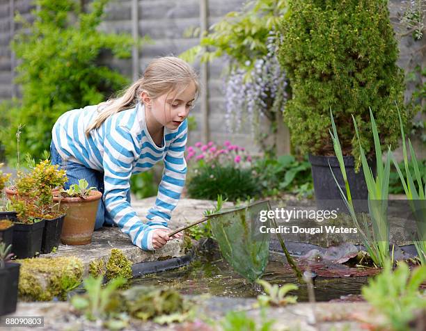 young girl fishing in pond with net. - garden pond stockfoto's en -beelden