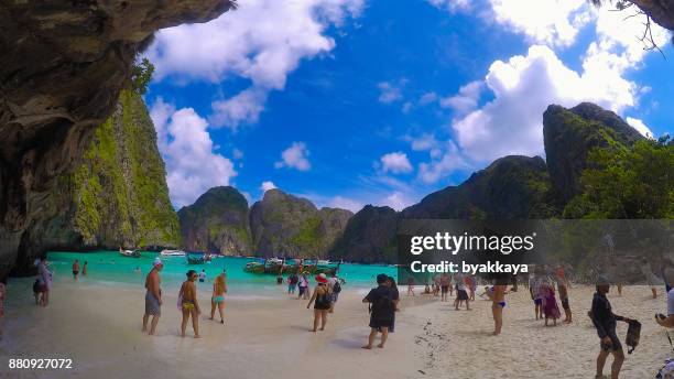 tourists on the beach of maya bay - maya bay stock pictures, royalty-free photos & images