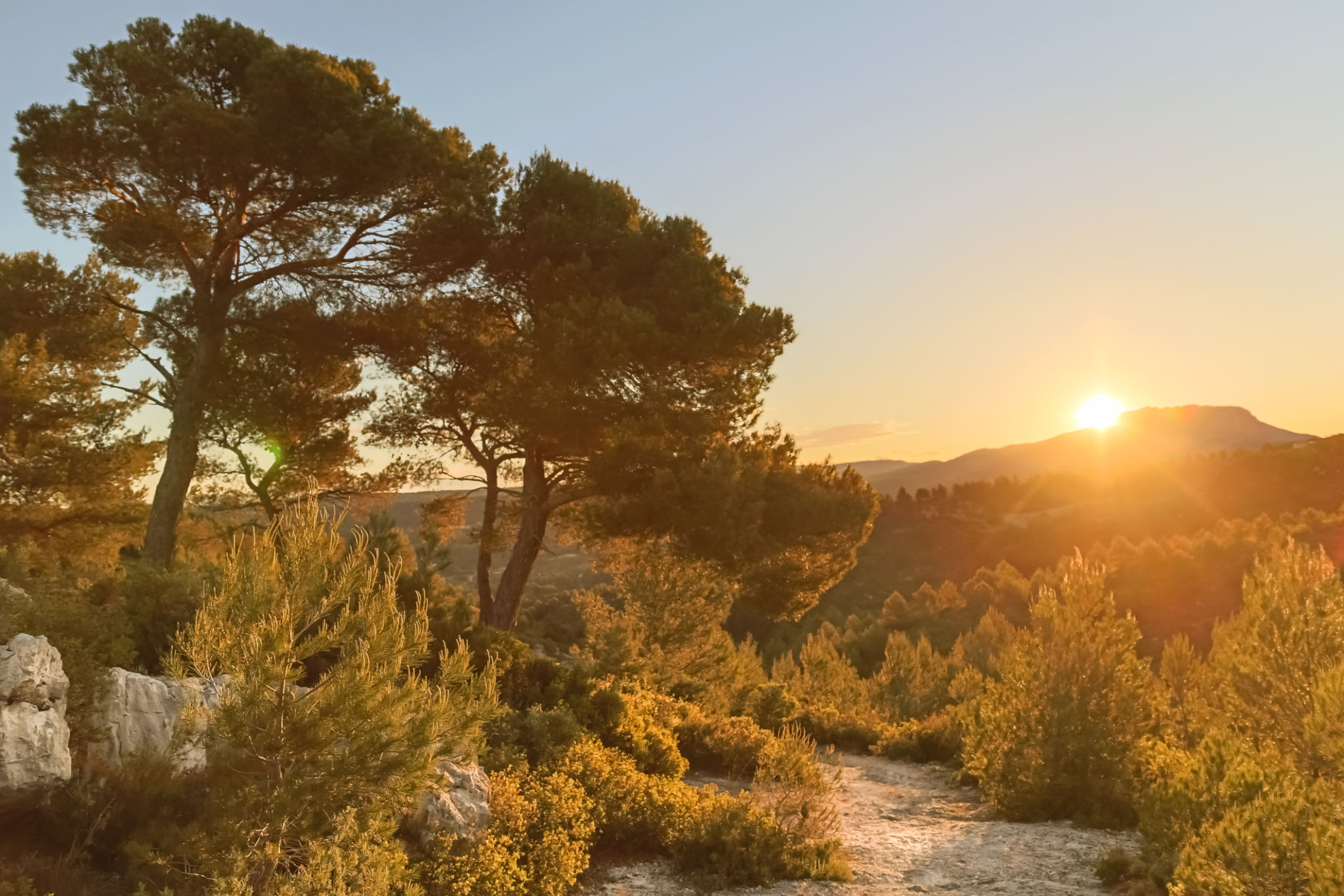 provence landscape