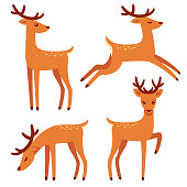 Cartoon deer set