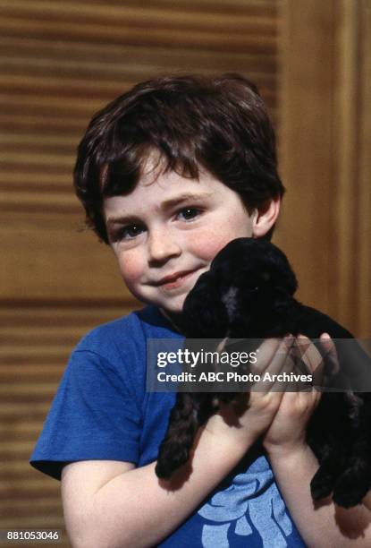 Jesse R. Tendler 80 Jesse Tendler Stock Photos, High-Res Pictures, and Images - Getty Images