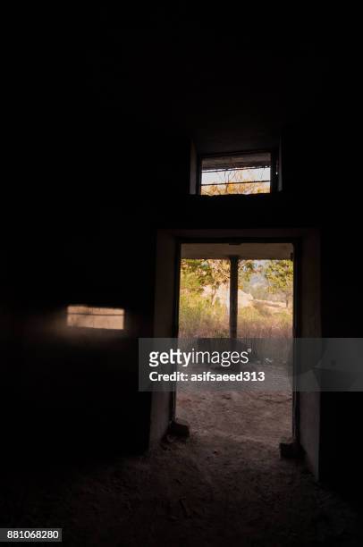 rajgarh forest guest house - unwanted guest stock pictures, royalty-free photos & images