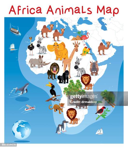 africa animals map - rhinoceros hornbill stock illustrations