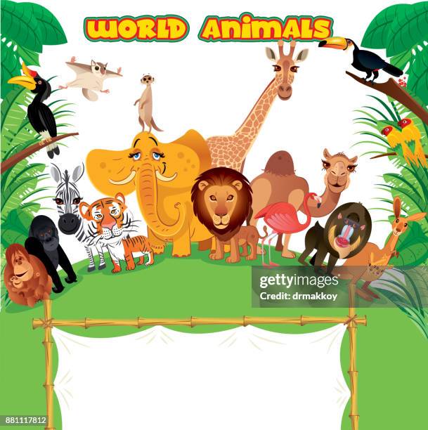 world animals - kangaroo stock illustrations