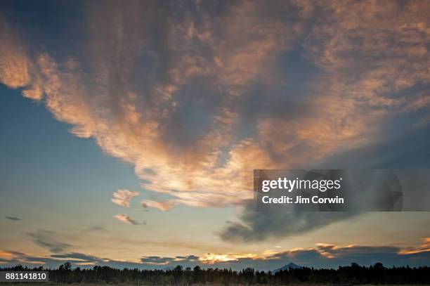 Lake Cassidy Washington Photos and Premium High Res Pictures Getty Images