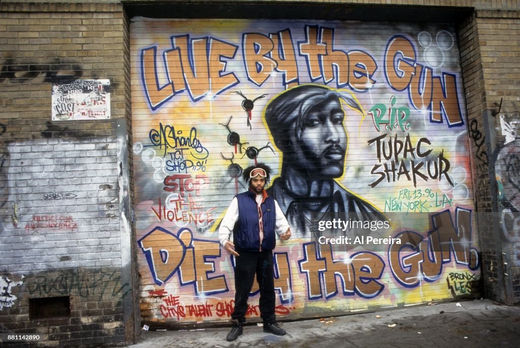 Tupac Mural