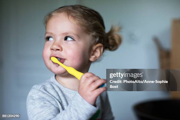 little girl brushing her teeth - tandborste bildbanksfoton och bilder