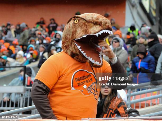 Fan of the Cleveland Browns drinks a beer as he wears a mascot T-Rex head in the fourth quarter of a game on November 19, 2017 against the...