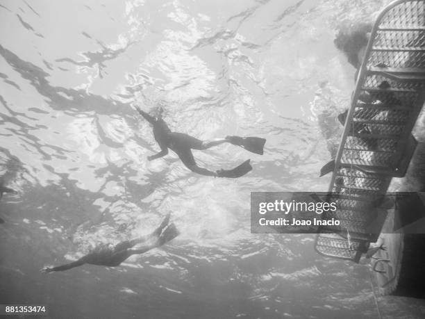 snorkeling at hastings reef, australia - great barrier reef marine park stock-fotos und bilder