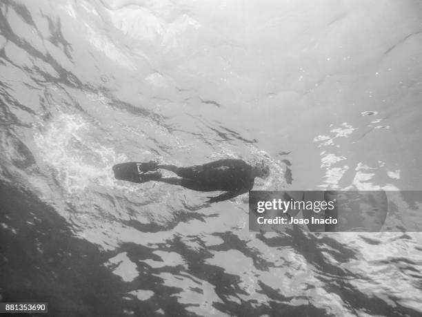 snorkeling at hastings reef, australia - great barrier reef marine park stock-fotos und bilder