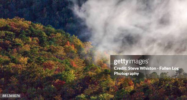 Misty Ridge 134 Misty Ridge Tennessee Stock Photos, High-Res Pictures, and Images ...