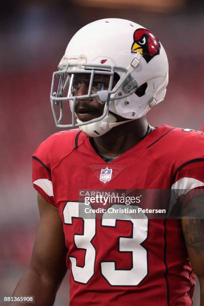 Running back Kerwynn Williams of the Arizona Cardinals during the first half of the NFL game against the Jacksonville Jaguars at the University of...