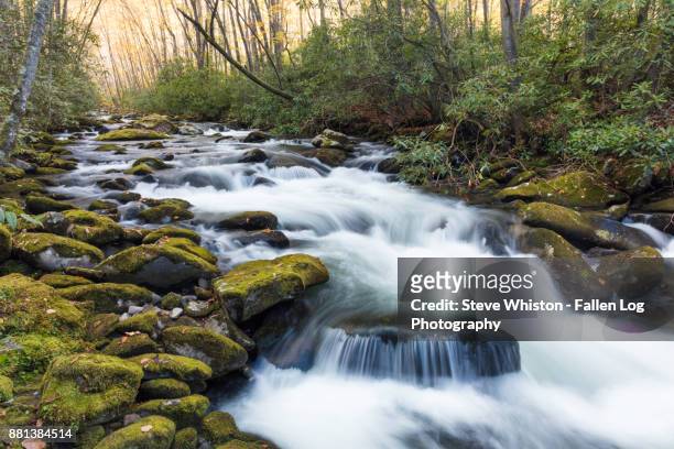 creek and flowing water in great smoky mountain np - gatlinburg stock-fotos und bilder