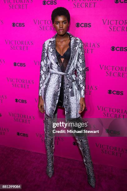 Amilna Estevao attends the 2017 Victoria's Secret Fashion Show viewing party pink carpet at Spring Studios on November 28, 2017 in New York City.