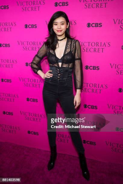 Ming Xi attends the 2017 Victoria's Secret Fashion Show viewing party pink carpet at Spring Studios on November 28, 2017 in New York City.