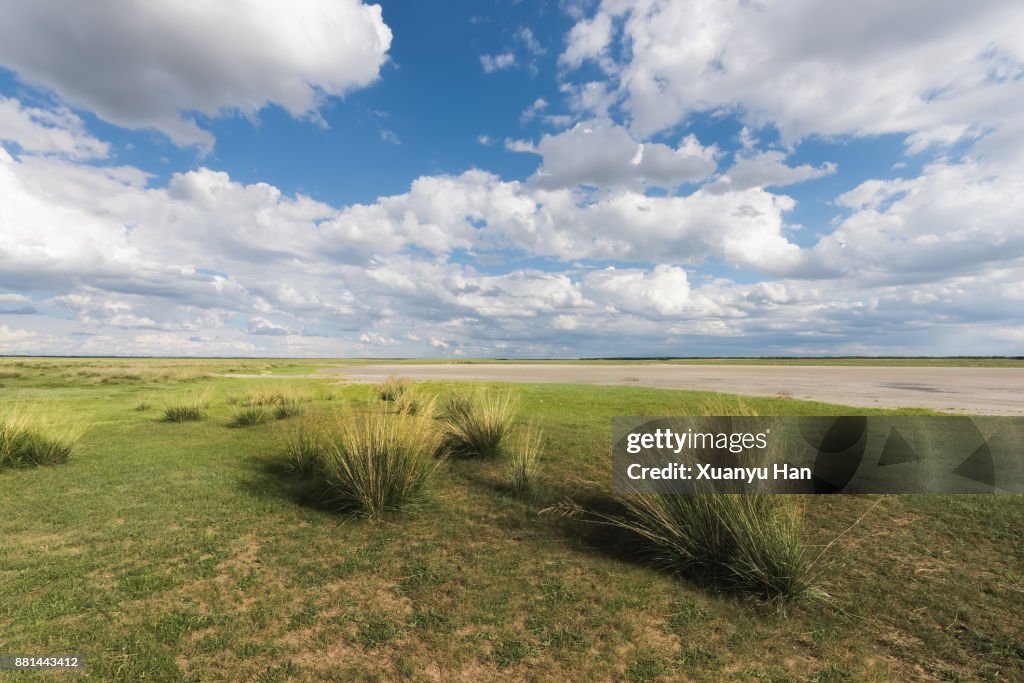 Landscape beneath dramatic blue sky at the Vast Prairie