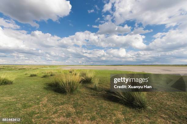 landscape beneath dramatic blue sky at the vast prairie - ステップ地帯 ストックフォトと画像