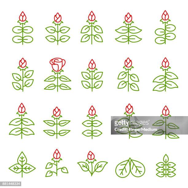 plant icon set - chlorophyll stock illustrations