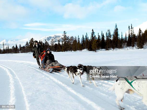 family on dogsledge - hemsedal stock pictures, royalty-free photos & images