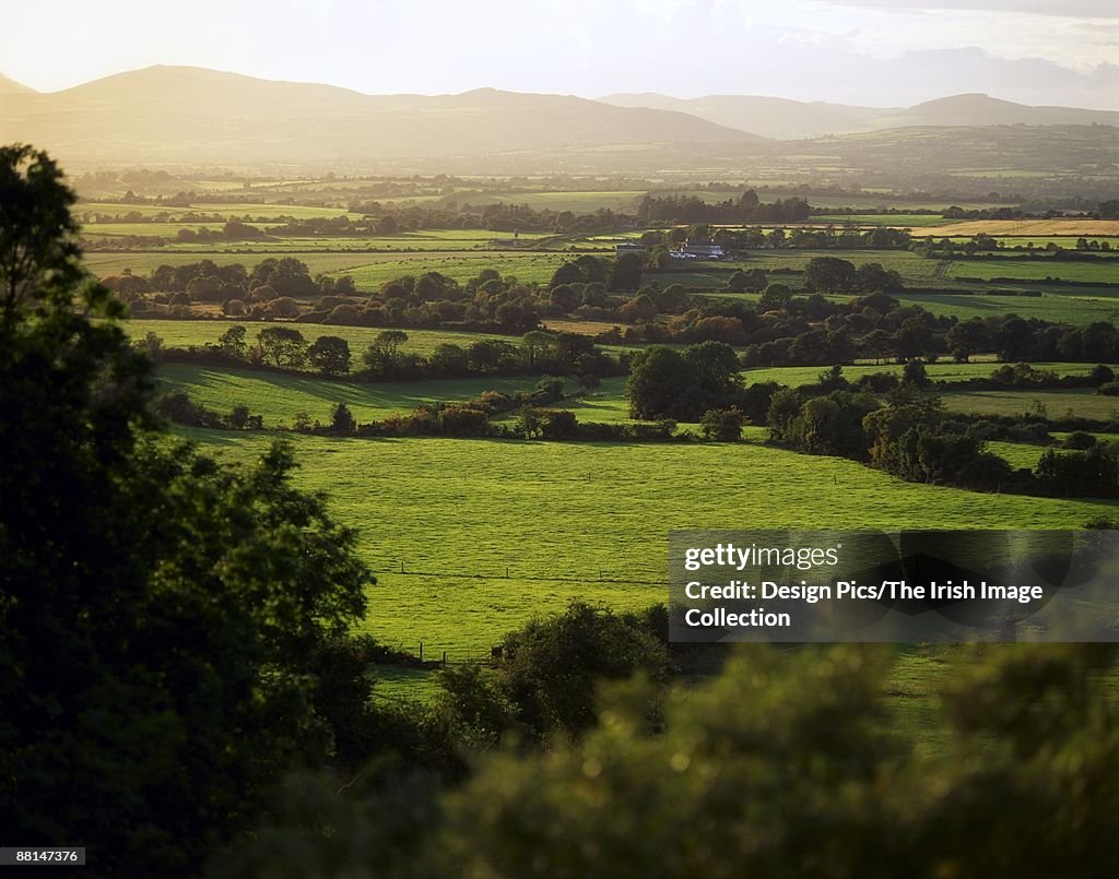 Pastoral, Mitchelstown, County Cork, Ireland